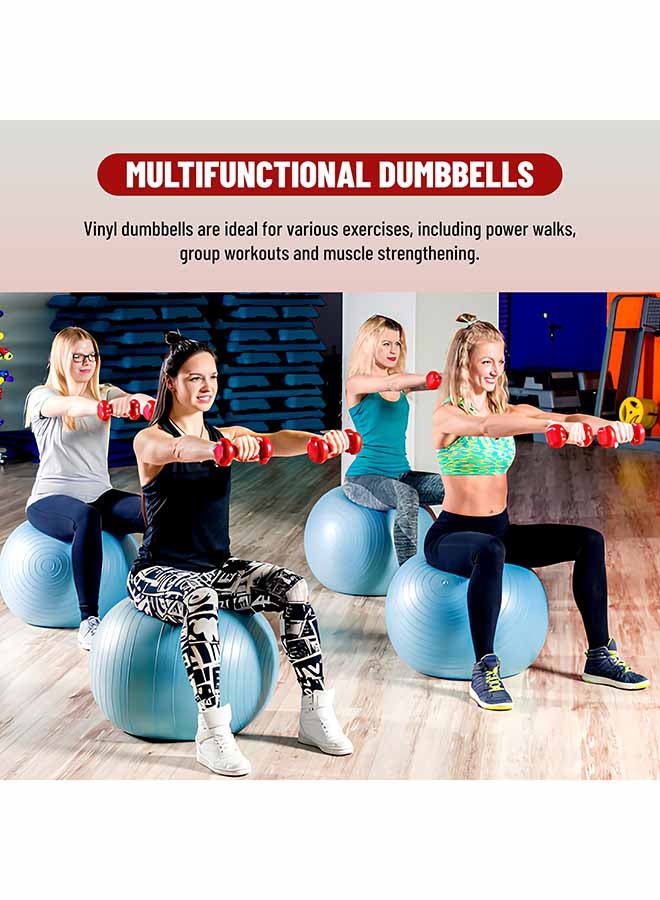 ENDLESS  Endless Vinyl Coated Fixed Dumbbell for Gym Exercises | Pair of 2 Kg ( 2 * 4.4 LB ) | Material : Iron with Vinyl Coat | Weights for Women and Men  - Image 2