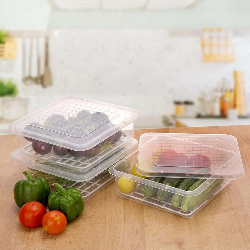 ROXA Fridge Storage Boxes Fridge Organizer with Removable Drain Plate and Lid Stackable Fridge Storage Freezer Storage Containers for Fish, Meat, Vegetables, Fruits (2500ML, Pack of 3) - Image 3