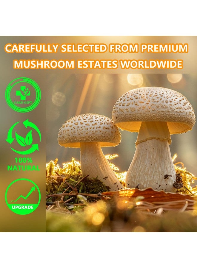 Generic CARE GIFT Mushroom Coffee with 16in1 Mushroom Supplement (Lions Mane, Turkey Tail, Shiitake) and Electrolyte, Instant Coffee Powder for Energy, Focus, Digestion, Immunity  - Image 5