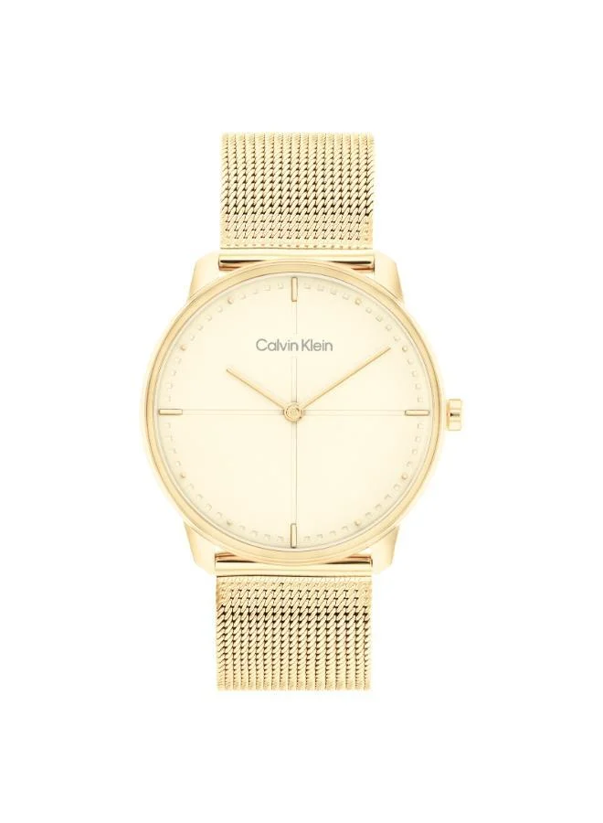 25200159 CK ICONIC analogue watch