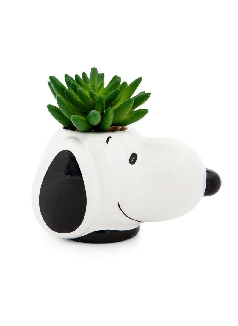 Peanuts Peanuts Snoopy Face Ceramic Mini Planter with Artificial Succulent  Small Flower Pot Faux Indoor Plants for Desk Shelf Home Decor Trinket Tray  Cute Charlie Brown Gifts and Collectibles 