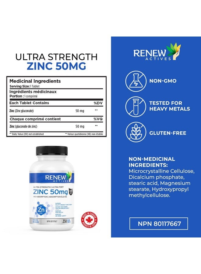 Renew Actives Zinc Supplements 50MG per Serving - Essential for Immune Health, Strong Bones & Promoting Healthy Hair, Nails & Glowing Skin for Daily Use - Made in Canada - 250 Tablets - Image 4