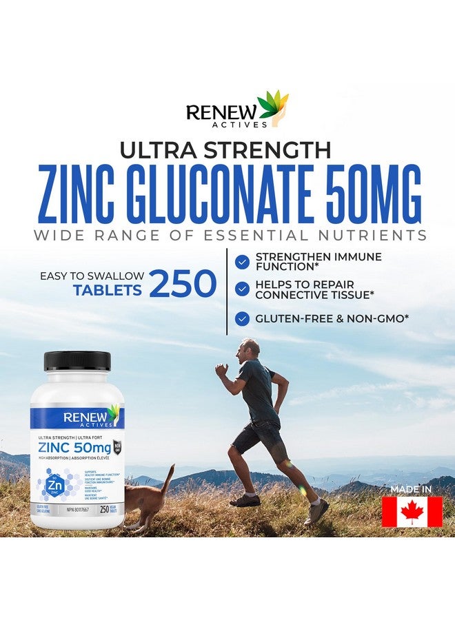 Renew Actives Zinc Supplements 50MG per Serving - Essential for Immune Health, Strong Bones & Promoting Healthy Hair, Nails & Glowing Skin for Daily Use - Made in Canada - 250 Tablets - Image 5