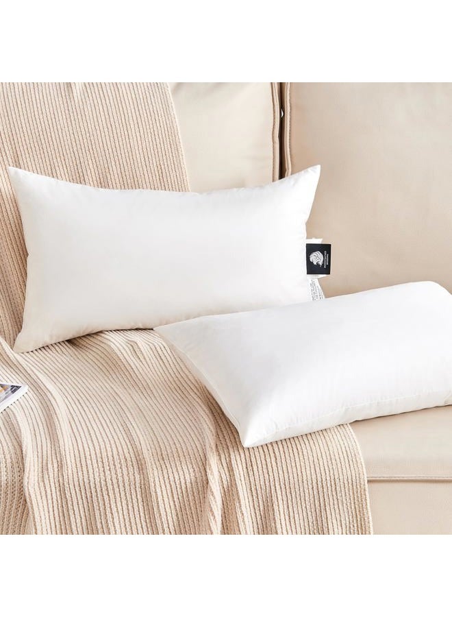 KUSNUG Organic Feather Down Lumbar Pillow Inserts (12x20 Inch, Set of 2) - 100% Cotton Shell, Filling of Feathers Down & Memory Foam, Rectangular Decorative Pillow Form Core for Couch, Sofa, and Bed - Image 1