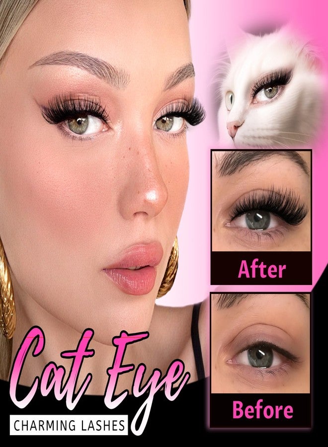 Veleasha Cat Eye Lashes Wispy Fox Eye Lashes That Look Like Extensions Multi-level High Quality Eyelashes C Curl Fluffy Volume Cat Eyelashes 5 Pairs Pack (Dreamy) - Image 3