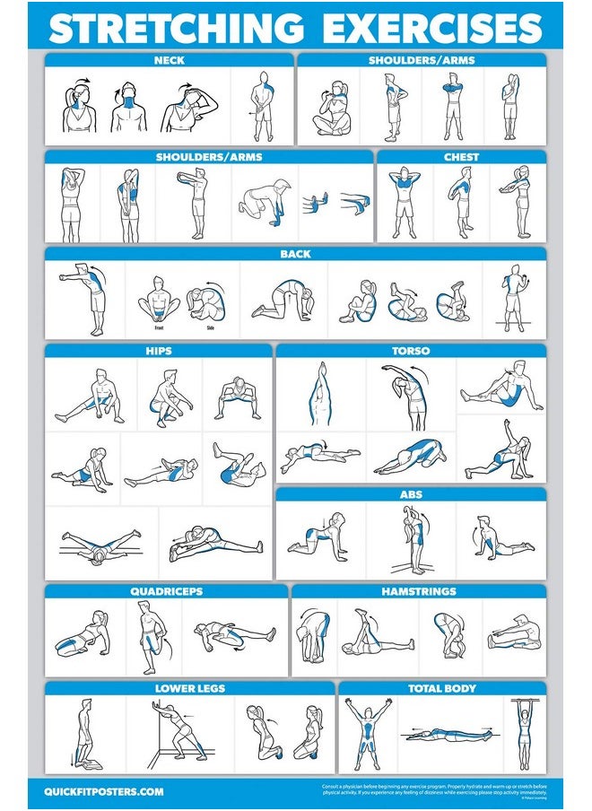 Palace Learning Learning Quickfit Stretching Workout Exercise Poster - Stretch Routine (Laminated, 18" X 27")  - Image 1