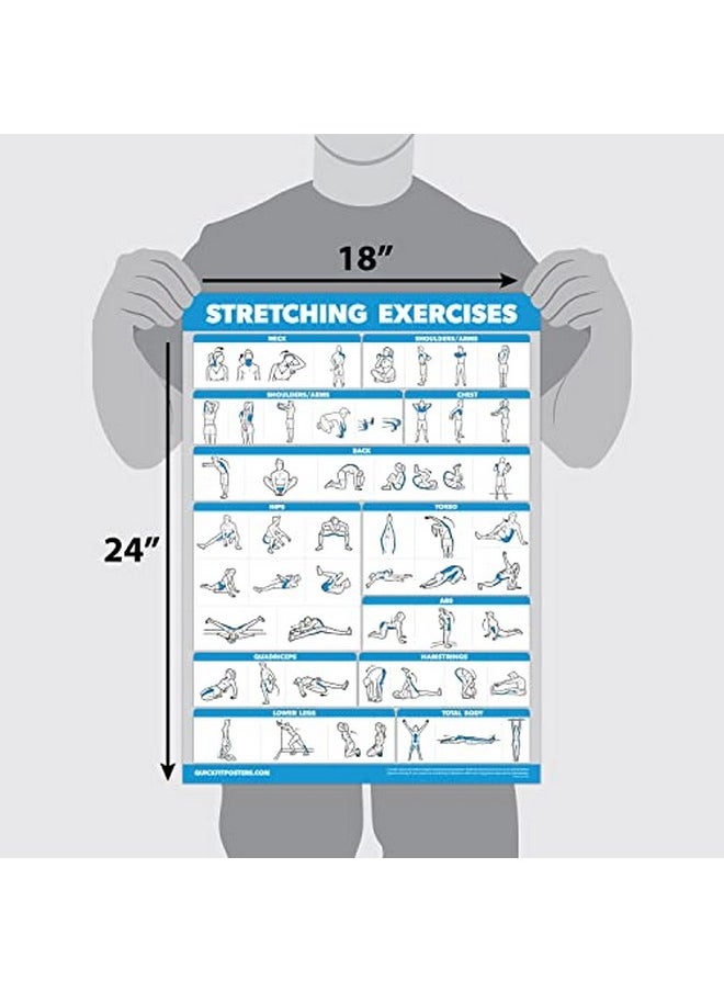Palace Learning Learning Quickfit Stretching Workout Exercise Poster - Stretch Routine (Laminated, 18" X 27")  - Image 3