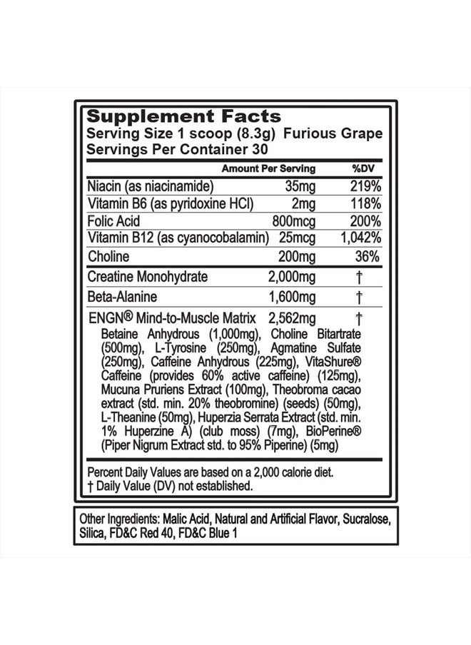 Evlution - EVL Intense Pre Workout with Creatine - Pre Workout Powder Drink for Lasting Energy Focus and Recovery - ENGN Energizing Pre Workout for Men with Beta Alanine Caffeine and L Theanine (Furious Grape) - Image 1