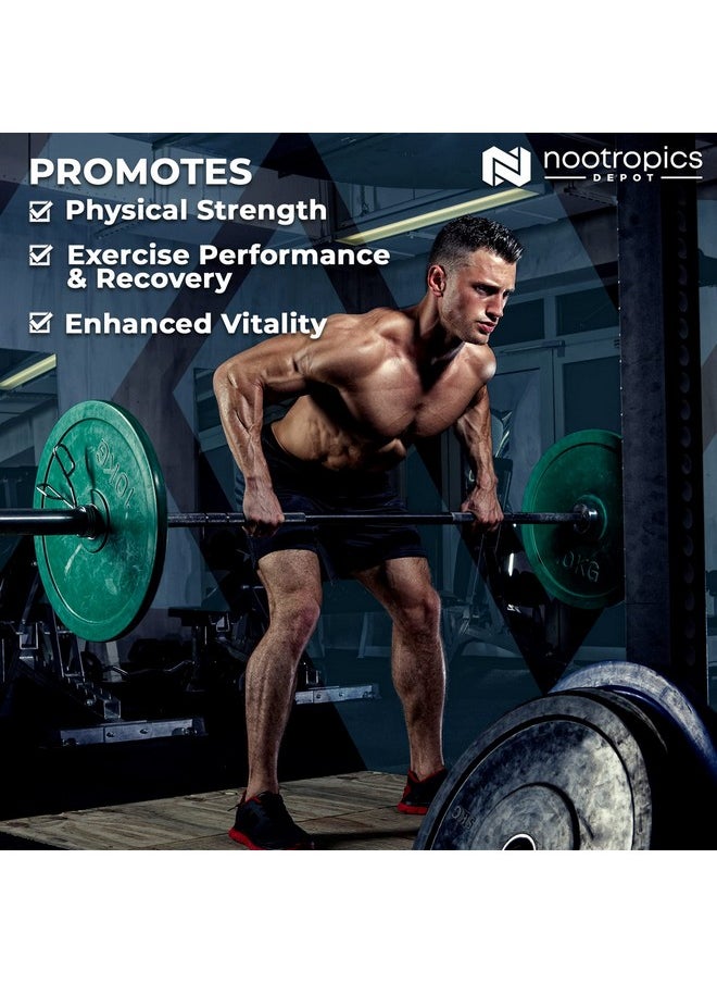 Nootropics Depot - Cistanche Tubulosa Tablets ; 200Mg ; 60 Count ; Minimum 50% Echinacoside + 10% Acetoside (Verbascoside) ; Promotes Physical Strength And Energy ; Promotes Vitality - Image 1