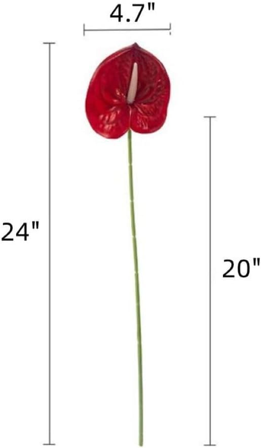 Dekorly Artificial Anthurium Flowers Real Touch Fake Flower for Table Centerpieces Arrangement and Bridal Wedding Festival Decor Flower Arrangement (Red, Height : 24Inch | Pack of 12) - Image 2
