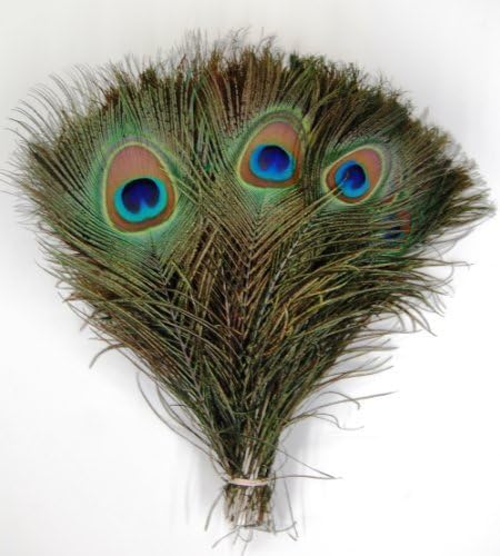 Awadh Natural Real Full Length Peacock Feather Tails Mayuri Pankh Mor Pankh for Good Luck Art and Craft and Worship pankihi Mayur Pacchai Mayuram Chivari Mayura Picchu Mayuram Pishach Pack of 2 - Image 2