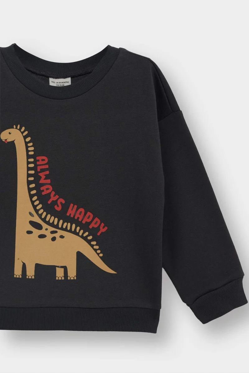 ديفاكتو Baby Boy Regular Fit Printed Crew Neck Sweatshirt