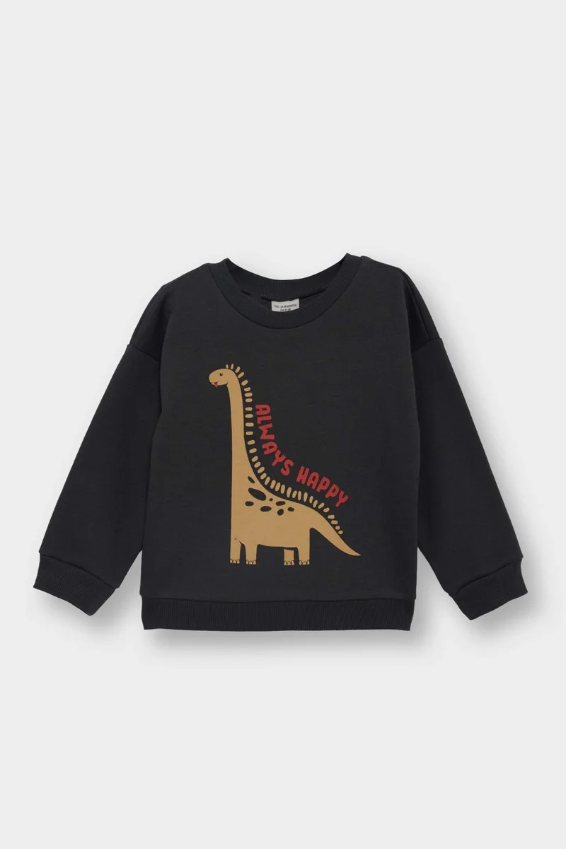 ديفاكتو Baby Boy Regular Fit Printed Crew Neck Sweatshirt