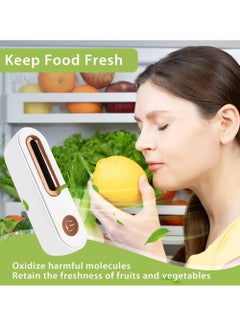 Generic Portable Rechargeable Fridge Deodorizer, Reusable Odor Absorber for Home, Car, Closet and Wardrobe  - Image 3