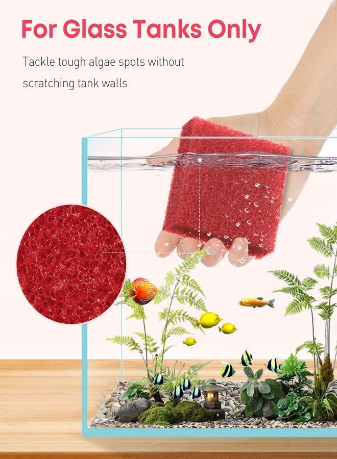 باوفلي مجموعة باو فلاي المكونة من 8 قطع من إسفنجات تنظيف زجاج أحواض السمك، 3.25 بوصة × 3.25 بوصة × 1 بوصة، وسادة تنظيف الطحالب لأحواض السمك الزجاجية، منظف زجاج أحواض السمك، إسفنجة أحواض السمك، أدوات تنظيف أحواض السمك، أحمر (غير مناسب لأحواض الأكريليك) - Image 4