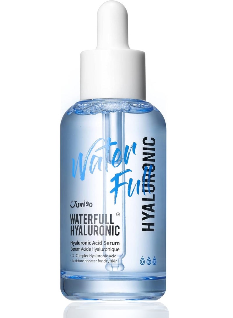 Waterfull Hyaluronic Acid Serum 50ml | Deep Hydration and Plumping Serum for Smooth, Radiant Skin