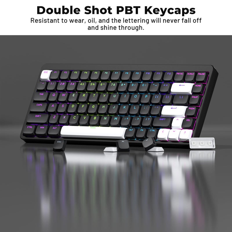 GMKWTL XVX Low Profile Black Keycaps, Shine Through Keycap Sets, Double Shot PBT Keyboard Keycaps Compatibility for 60% 75% 80% 85% 100% MX Switches Mechanical Keyboard- Only Key caps - Image 5
