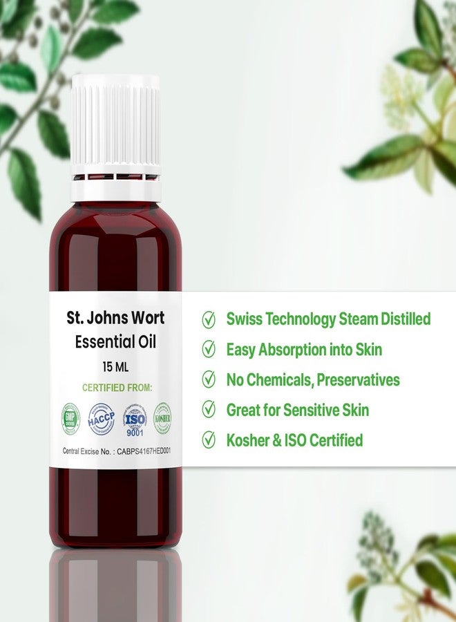 Allin Exporters زيت سانت جونز وورت الأساسي من ألين إكسبورتيرز برائحة مبهجة مثالي للبشرة الحساسة والعلاج بالروائح (15 مل) - Image 3
