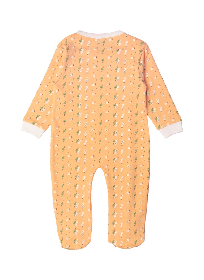 Babies Basic 100% Cotton Printed Long Sleeves Jumpsuit/Romper/Sleepsuit For Babies  - Image 4