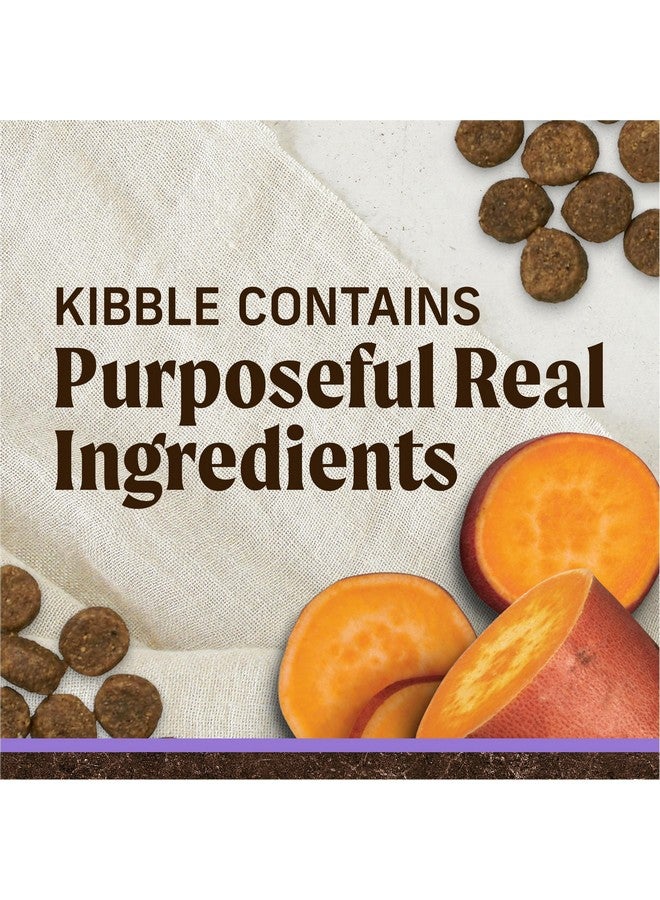 Merrick Premium Grain Free Dry Puppy Food, Wholesome And Natural Kibble With Real Chicken and Sweet Potato - 4.0 lb. Bag - Image 2