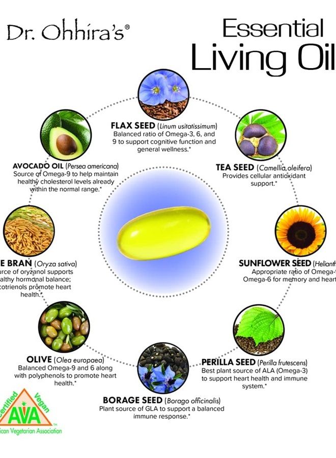 essential formulas Dr. Ohhira's Vegan Omega 3, EFA and Fish Oil Alternative, 60 Capsules - Image 2