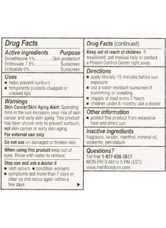 Medicated Lip Protectant/Sunscreen Spf 15 Original 48 Ea - pzsku/Z6EFF0DB7C478060A83D6Z/45/_/1719246392/cd277037-d130-4220-8fff-1944f77aac36