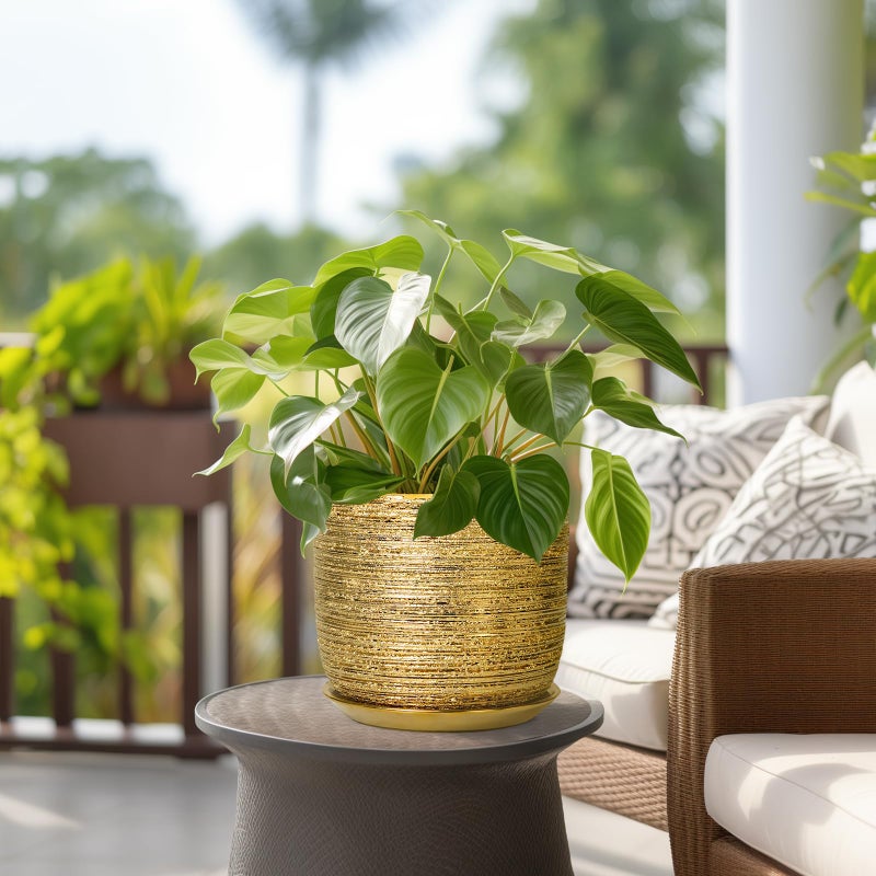 SUNPOTFOR 8 Inch Plant Pot - Ceramic Planter with Drainage Hole and Saucer, Modern Round Planter for Indoor Flowers, Gifts for Plant Lovers, Home House Office Room Decor, Gold - Image 4