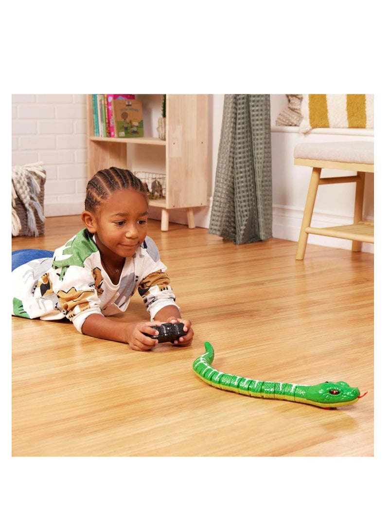 Terra تيرا آر سي ثعبان - بوا شجرة زمردية - Image 2