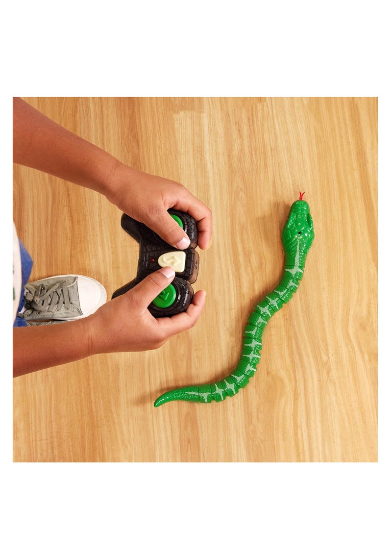 Terra تيرا آر سي ثعبان - بوا شجرة زمردية - Image 3