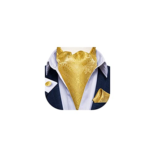 DiBanGu Gold Ascot Ties for Men Cravat Tie and Pocket Square Set Jacquard Silk Ascot Paisley Cravat for Men - Image 1