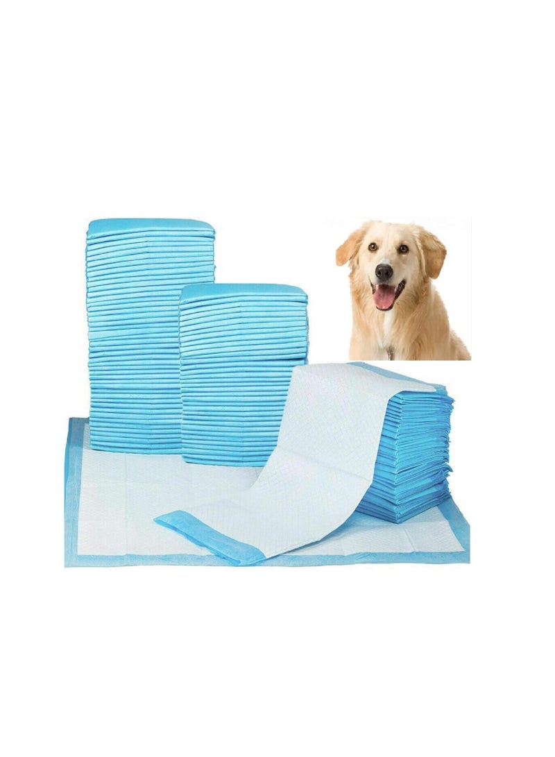 Puppy Training Pads - 10 Pieces 60*90 CM