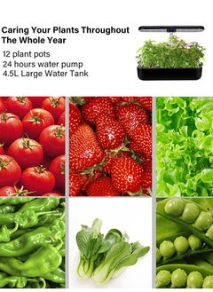 INKBIRD Planting Machine Growing Light Hydroponics Growing System Indoor Herb Garden Starter Kit with LED Grow Light 3L Large Capacity Germination Kit for Home Gardening Height Adjustable 12 Pots - pzsku/Z6F04B9886CD8ACE5348DZ/45/_/1709799093/877f3c41-0fe1-437d-9ac2-f667177417ca