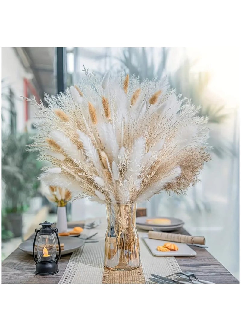 LDQ 50 Pcs Dried Pampas Grass, White Pampas Bouquet Fluffy Dry Pampas Bunny Tails, Small Pampas 