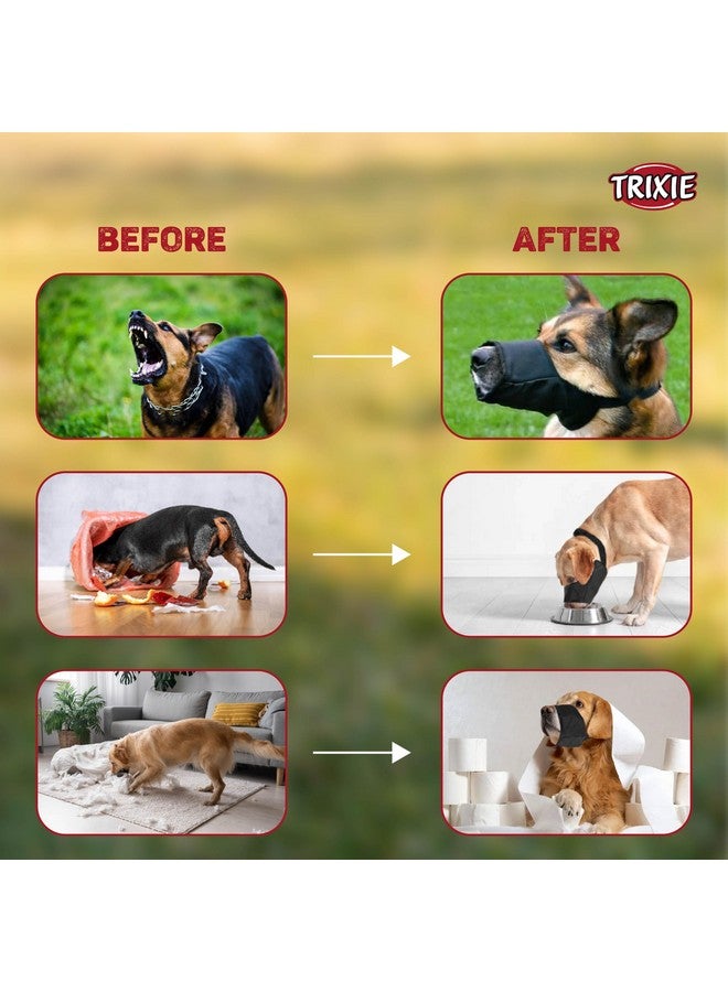 تريكسي كمامة نايلون للكلاب، مصنوعة من النايلون المتين، خفيفة الوزن وقابلة للتعديل بالكامل، تساعد على حماية كلبك والمناطق المحيطة، ويمكن استخدامها أثناء التمرين واللعب - مقاس صغير (عبوة من 4 قطع) - Image 3