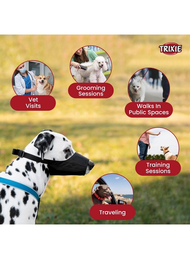 تريكسي كمامة نايلون للكلاب، مصنوعة من النايلون المتين، خفيفة الوزن وقابلة للتعديل بالكامل، تساعد على حماية كلبك والمناطق المحيطة، ويمكن استخدامها أثناء التمرين واللعب - مقاس صغير (عبوة من 4 قطع) - Image 5