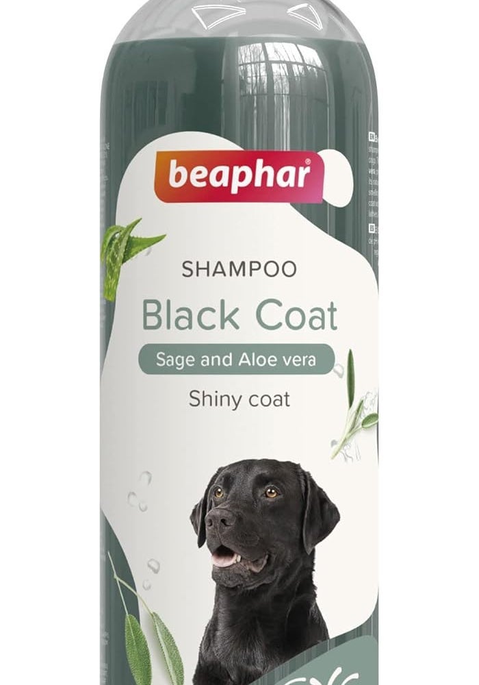 Beaphar Black Coat Dog Shampoo 250ml - Image 1