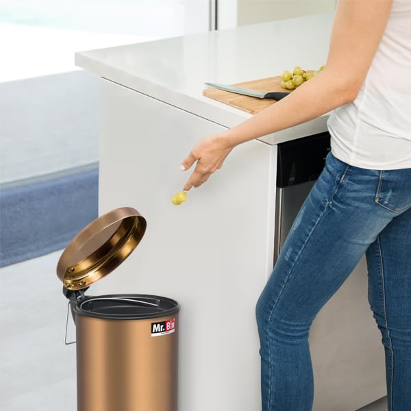 Mr. Bin Mr Bin Stainless Steel Dustbin Gold Pedal Bin with Plastic Bucket and Lid SS 202 7 x 11 Garbage Bin StepOn Trash Can Round Shape Dustbin for Home Bathroom Kitchen Office 5 Liter - Image 2