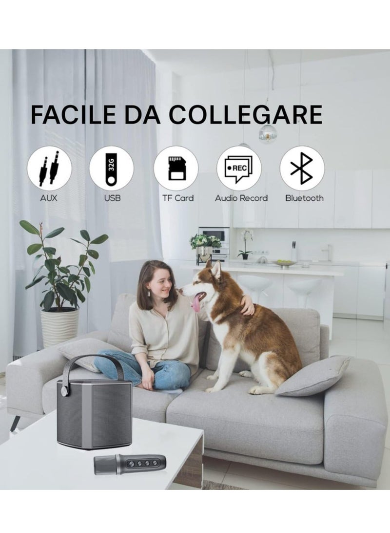 Gravity 2 Pack Portable Bluetooth Karaoke Speaker with Rechargeable Wireless Microphone, Type-C Charging, Multiple Voice Modes, TF Card Support‚Äì Red, Perfect for Parties, Karaoke, and Home Entertainment - Image 4