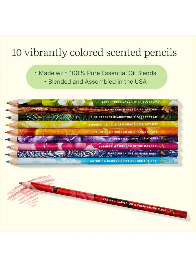 لايف لاينز أقلام رصاص ملونة معطرة، عبوة من 10 قطع من مجموعة باليت الكلاسيكية - مجموعة أقلام رصاص ملونة قابلة للفرك والشم مملوءة بمزيج من الزيوت العطرية للفنون والحرف اليدوية وكتب التلوين واللوازم المدرسية - Image 2