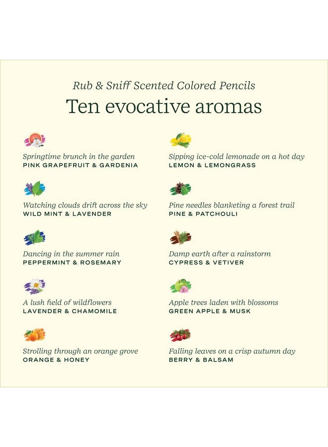 لايف لاينز أقلام رصاص ملونة معطرة، عبوة من 10 قطع من مجموعة باليت الكلاسيكية - مجموعة أقلام رصاص ملونة قابلة للفرك والشم مملوءة بمزيج من الزيوت العطرية للفنون والحرف اليدوية وكتب التلوين واللوازم المدرسية - Image 4