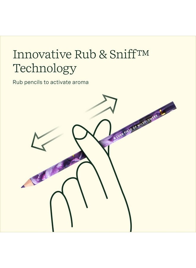 لايف لاينز أقلام رصاص ملونة معطرة، عبوة من 10 قطع من مجموعة باليت الكلاسيكية - مجموعة أقلام رصاص ملونة قابلة للفرك والشم مملوءة بمزيج من الزيوت العطرية للفنون والحرف اليدوية وكتب التلوين واللوازم المدرسية - Image 5