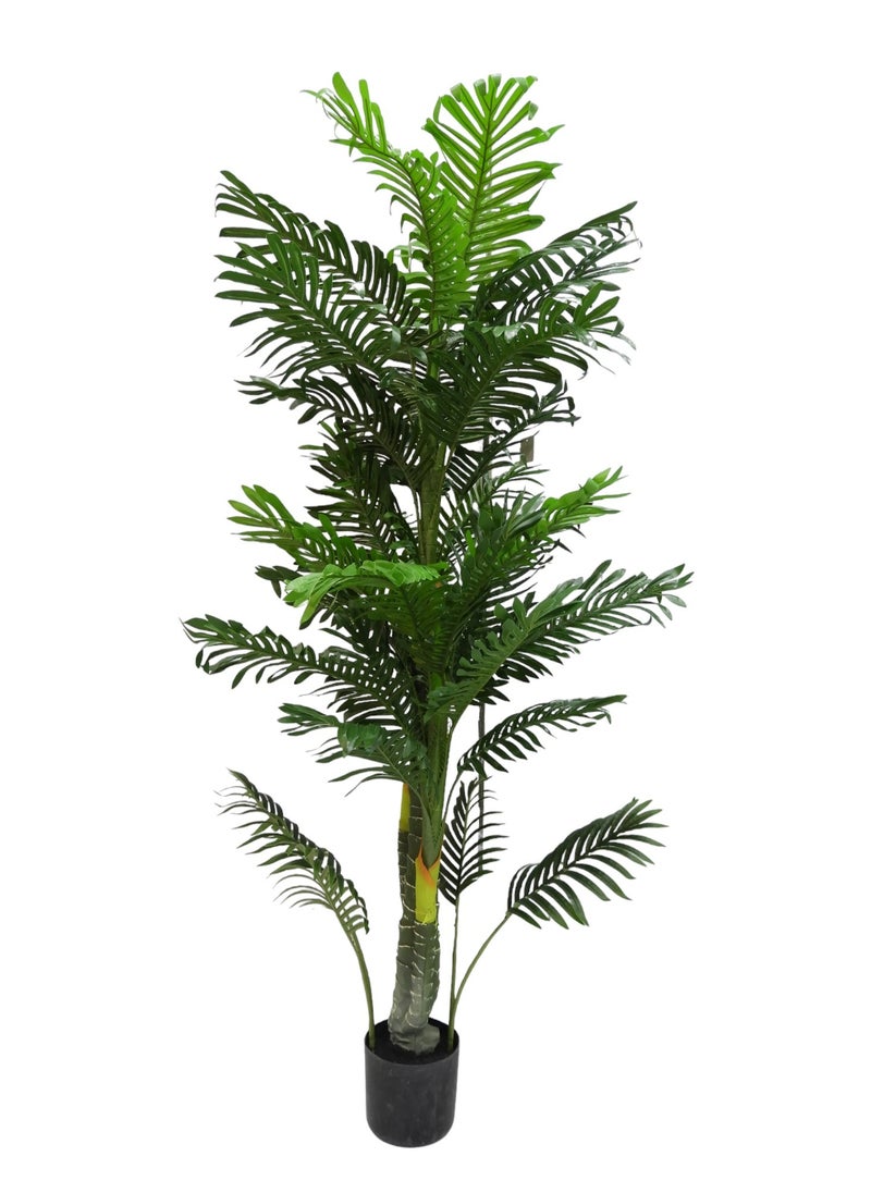 BABAZAM - Decorative Artificial Palm Tree Potted in Plastic Vase for Home and Office Décor Indoor and Outdoor Gifting 190x27x27cm - Image 1