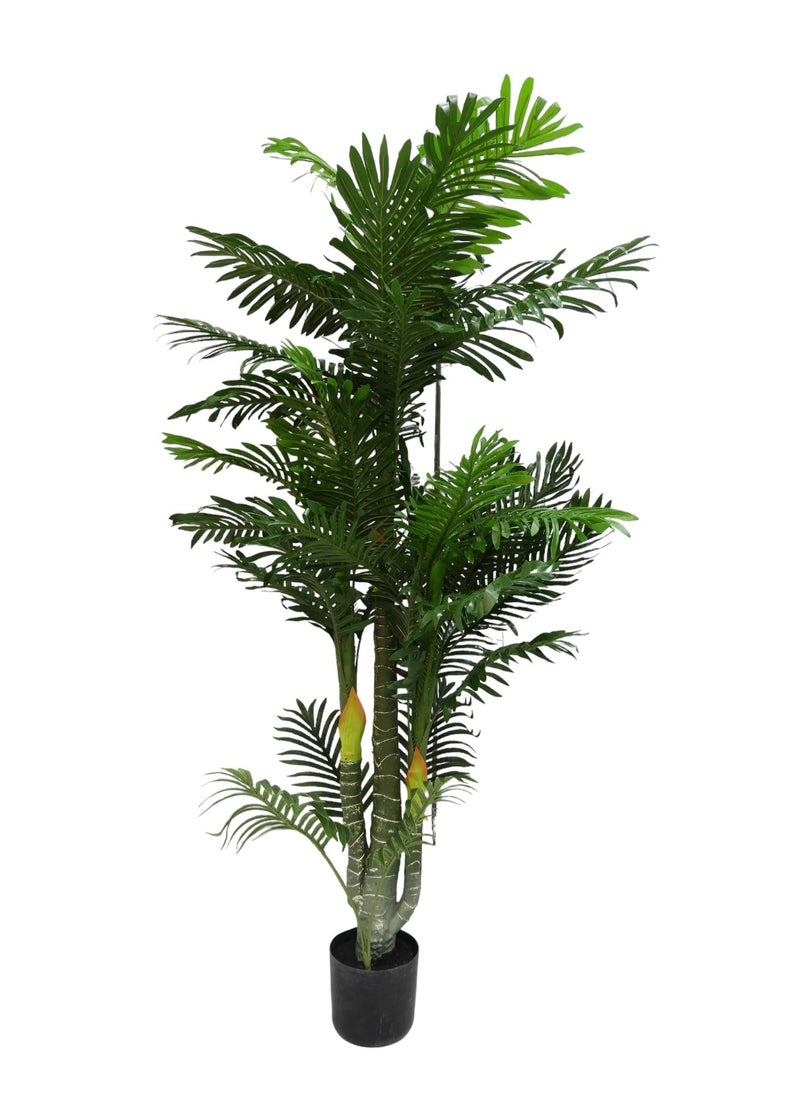 BABAZAM - Decorative Artificial Palm Tree Potted in Plastic Vase for Home and Office Décor Indoor and Outdoor Gifting 190x27x27cm - Image 1