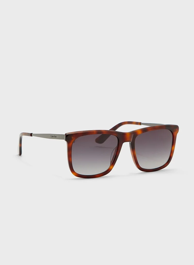 CALVIN KLEIN Wayfarers Sunglasses