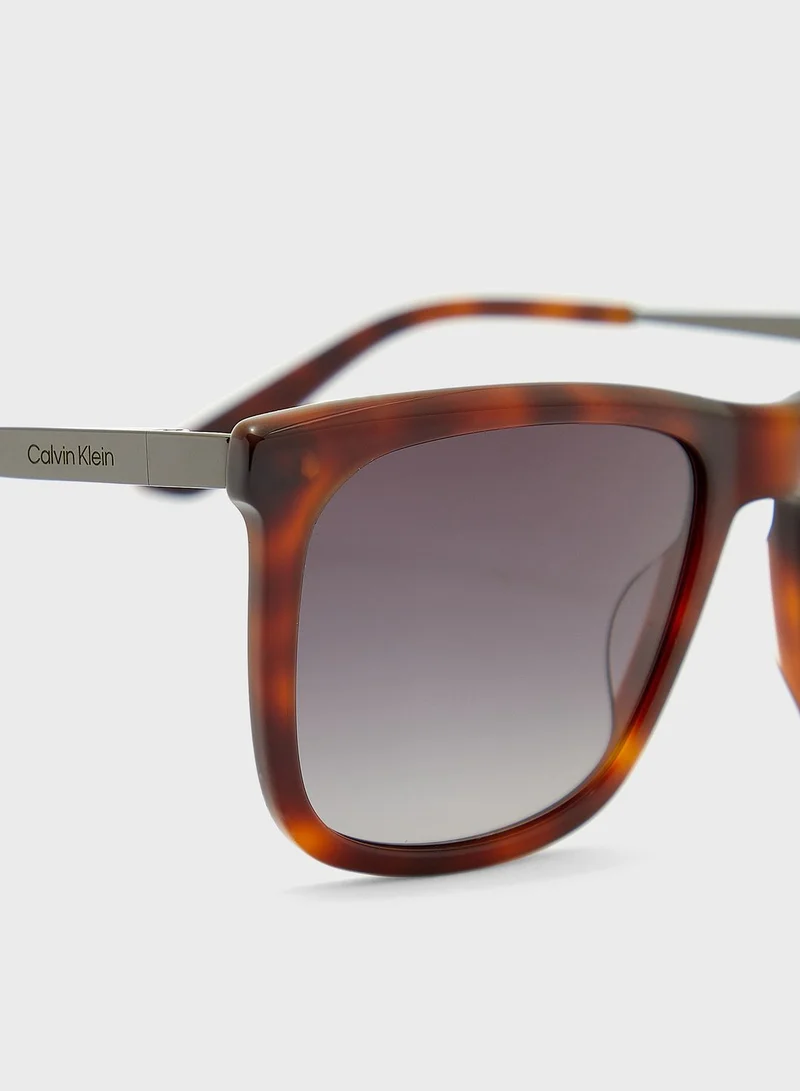 CALVIN KLEIN Wayfarers Sunglasses