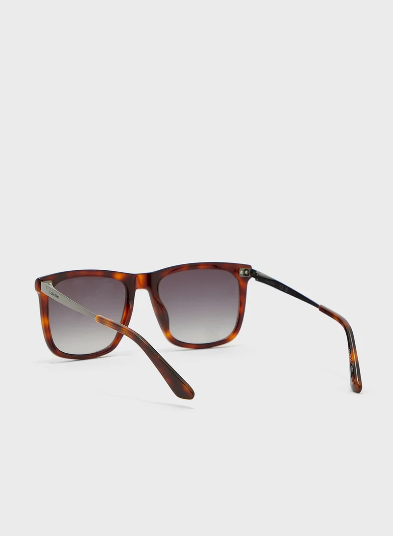 CALVIN KLEIN Wayfarers Sunglasses