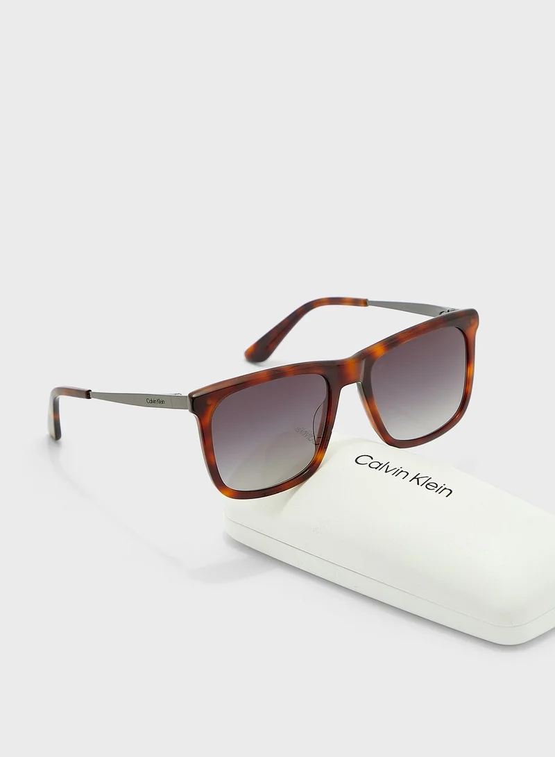 CALVIN KLEIN Wayfarers Sunglasses