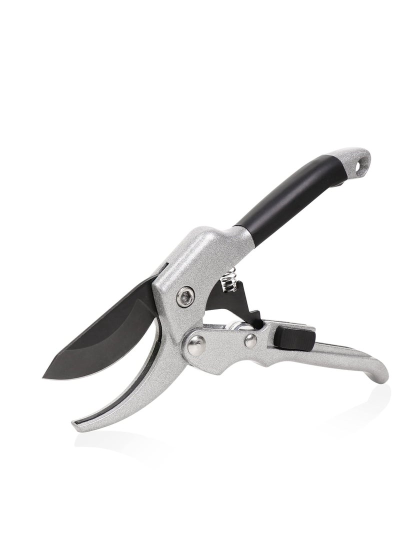 NIBEMINENT - Garden Pruning Shears, Scissors, Shears for Gardening, Handheld Coated Stainless Steel Blades Scissors Tool, Cutting Flowers, Trimming Plants, Tree, Fruits Picking - Image 1