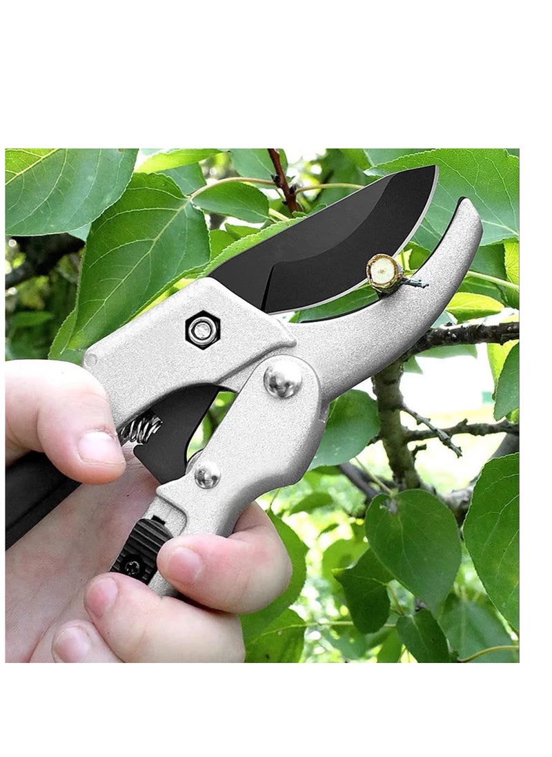 NIBEMINENT - Garden Pruning Shears, Scissors, Shears for Gardening, Handheld Coated Stainless Steel Blades Scissors Tool, Cutting Flowers, Trimming Plants, Tree, Fruits Picking - Image 1