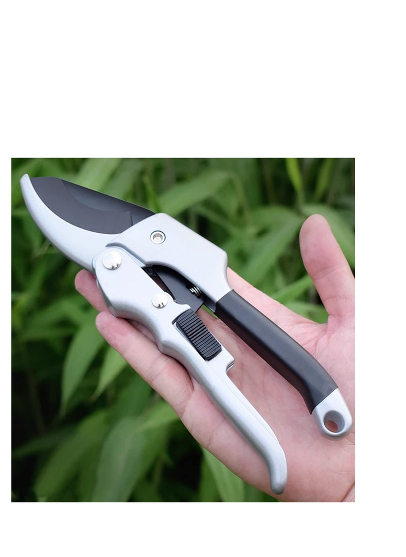 NIBEMINENT - Garden Pruning Shears, Scissors, Shears for Gardening, Handheld Coated Stainless Steel Blades Scissors Tool, Cutting Flowers, Trimming Plants, Tree, Fruits Picking - Image 1